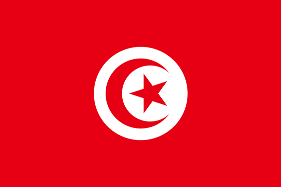 Seguros Broker Túnez
